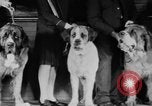 Standbild Mid West Dog Show Chicago Illinois USA, 1930, aus Sekunde 13 historischem Filmmaterial Videoclip 65675056182
