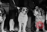 Standbild Mid West Dog Show Chicago Illinois USA, 1930, aus Sekunde 14 historischem Filmmaterial Videoclip 65675056182