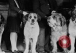 Standbild Mid West Dog Show Chicago Illinois USA, 1930, aus Sekunde 15 historischem Filmmaterial Videoclip 65675056182