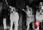 Standbild Mid West Dog Show Chicago Illinois USA, 1930, aus Sekunde 16 historischem Filmmaterial Videoclip 65675056182
