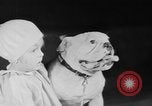Standbild Mid West Dog Show Chicago Illinois USA, 1930, aus Sekunde 43 historischem Filmmaterial Videoclip 65675056182