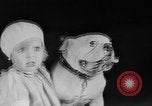 Standbild Mid West Dog Show Chicago Illinois USA, 1930, aus Sekunde 44 historischem Filmmaterial Videoclip 65675056182