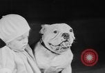 Standbild Mid West Dog Show Chicago Illinois USA, 1930, aus Sekunde 45 historischem Filmmaterial Videoclip 65675056182