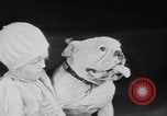 Standbild Mid West Dog Show Chicago Illinois USA, 1930, aus Sekunde 46 historischem Filmmaterial Videoclip 65675056182
