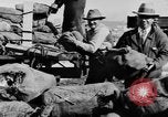 Standbild kanadischen rum Cargo zerstört im Verbot San Francisco California USA, 1930, aus Sekunde 20 historischem Filmmaterial Videoclip 65675056183