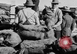 Standbild kanadischen rum Cargo zerstört im Verbot San Francisco California USA, 1930, aus Sekunde 24 historischem Filmmaterial Videoclip 65675056183
