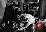 Immagine di Anna Eleanor Roosevelt Washington DC USA, 1941, secondo 20 filmato di repertorio 65675056192