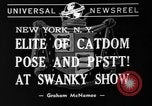 Image of 39th Annual Cat Show New York United States USA, 1941, second 4 stock footage video 65675056193