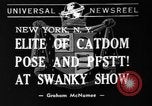 Image of 39th Annual Cat Show New York United States USA, 1941, second 7 stock footage video 65675056193