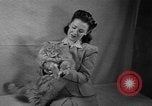 Image of 39th Annual Cat Show New York United States USA, 1941, second 17 stock footage video 65675056193