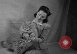 Image of 39th Annual Cat Show New York United States USA, 1941, second 18 stock footage video 65675056193