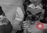 Image of 39th Annual Cat Show New York United States USA, 1941, second 22 stock footage video 65675056193