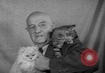 Image of 39th Annual Cat Show New York United States USA, 1941, second 24 stock footage video 65675056193