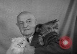Image of 39th Annual Cat Show New York United States USA, 1941, second 25 stock footage video 65675056193