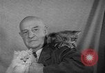 Image of 39th Annual Cat Show New York United States USA, 1941, second 26 stock footage video 65675056193