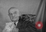 Image of 39th Annual Cat Show New York United States USA, 1941, second 27 stock footage video 65675056193