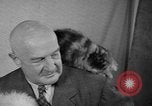 Image of 39th Annual Cat Show New York United States USA, 1941, second 30 stock footage video 65675056193