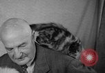 Image of 39th Annual Cat Show New York United States USA, 1941, second 31 stock footage video 65675056193