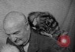 Image of 39th Annual Cat Show New York United States USA, 1941, second 32 stock footage video 65675056193
