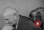 Image of 39th Annual Cat Show New York United States USA, 1941, second 33 stock footage video 65675056193