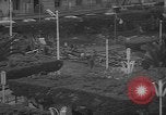 Standbild algerischen Siedler Algerien, 1960, aus Sekunde 22 historischem Filmmaterial Videoclip 65675056197