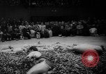 Standbild Millrose Games New York City USA, 1960, aus Sekunde 34 historischem Filmmaterial Videoclip 65675056203