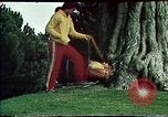 Immagine di Frisbee California United States USA, 1977, secondo 43 filmato di repertorio 65675056208