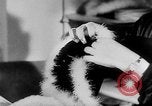 Standbild Karneval Feier Europa, 1952, aus Sekunde 15 historischem Filmmaterial Videoclip 65675056217