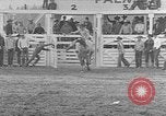 Standbild Rodeo Wettbewerb Palm Springs California USA, 1952, aus Sekunde 9 historischem Filmmaterial Videoclip 65675056219