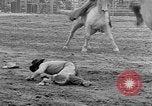 Standbild Rodeo Wettbewerb Palm Springs California USA, 1952, aus Sekunde 17 historischem Filmmaterial Videoclip 65675056219