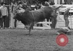 Standbild Rodeo Wettbewerb Palm Springs California USA, 1952, aus Sekunde 42 historischem Filmmaterial Videoclip 65675056219