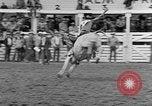 Standbild Rodeo Wettbewerb Palm Springs California USA, 1952, aus Sekunde 54 historischem Filmmaterial Videoclip 65675056219