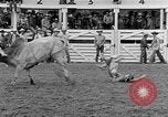 Standbild Rodeo Wettbewerb Palm Springs California USA, 1952, aus Sekunde 56 historischem Filmmaterial Videoclip 65675056219