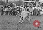 Standbild Rodeo Wettbewerb Palm Springs California USA, 1952, aus Sekunde 58 historischem Filmmaterial Videoclip 65675056219