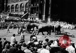 Image spectacle de cirque New York City USA, 1957, de la seconde 6 séquences d'archives historiques vidéo 65675056223