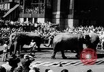 Image spectacle de cirque New York City USA, 1957, de la seconde 8 séquences d'archives historiques vidéo 65675056223