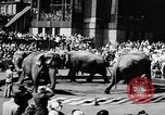 Image spectacle de cirque New York City USA, 1957, de la seconde 9 séquences d'archives historiques vidéo 65675056223