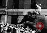 Image spectacle de cirque New York City USA, 1957, de la seconde 12 séquences d'archives historiques vidéo 65675056223