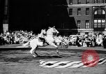 Image spectacle de cirque New York City USA, 1957, de la seconde 17 séquences d'archives historiques vidéo 65675056223