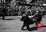 Image spectacle de cirque New York City USA, 1957, de la seconde 23 séquences d'archives historiques vidéo 65675056223