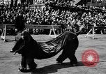 Image spectacle de cirque New York City USA, 1957, de la seconde 24 séquences d'archives historiques vidéo 65675056223