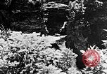 Image of Southern Mountains United States USA, 1935, second 57 stock footage video 65675056229
