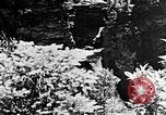 Image of Southern Mountains United States USA, 1935, second 58 stock footage video 65675056229