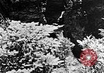 Image of Southern Mountains United States USA, 1935, second 59 stock footage video 65675056229