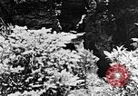 Image of Southern Mountains United States USA, 1935, second 60 stock footage video 65675056229