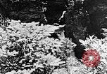 Image of Southern Mountains United States USA, 1935, second 61 stock footage video 65675056229
