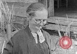 Image of handicraft articles United States USA, 1935, second 16 stock footage video 65675056232
