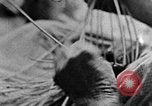 Image of handicraft articles United States USA, 1935, second 50 stock footage video 65675056232