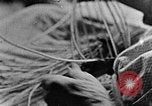 Image of handicraft articles United States USA, 1935, second 58 stock footage video 65675056232