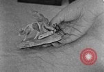 Image of handicraft arts United States USA, 1935, second 43 stock footage video 65675056234